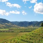 Colchagua Valley