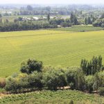 Curicó Valley