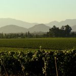 Cachapoal Valley